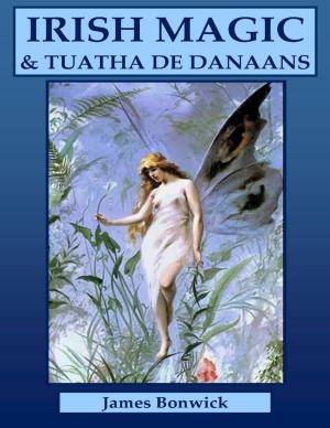 Cover of the book Irish Magic and Tuatha De Danaans by Tony Kelbrat
