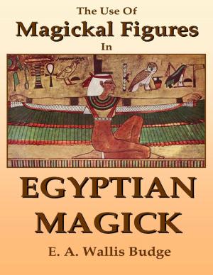 Cover of the book The Use of Magickal Figures In Egyptian Magick by Tiago Pereira