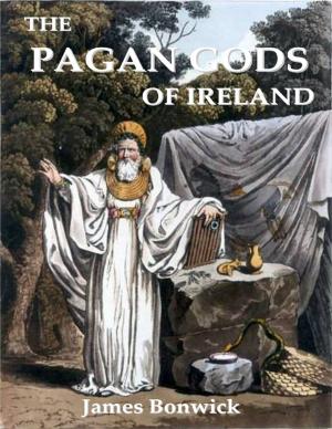 Cover of the book The Pagan Gods of Ireland by P J MacFarlane
