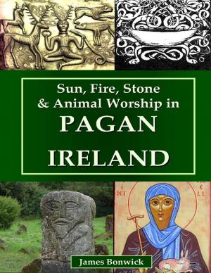 Cover of the book Sun, Fire, Stone & Animal Worship In Pagan Ireland by Milo Moonlight