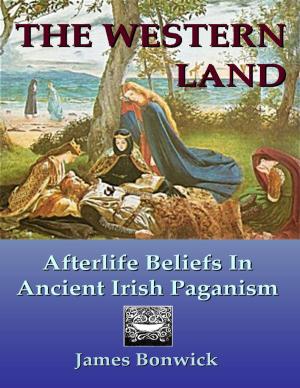 bigCover of the book The Western Land: Afterlife Beliefs In Ancient Irish Paganism by 