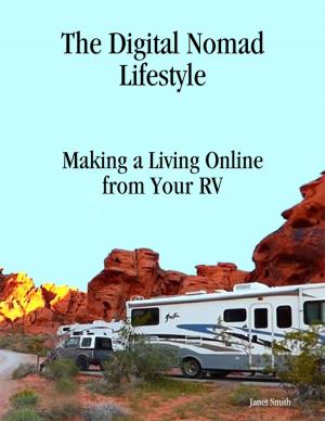 Book cover of The Digital Nomad Lifestyle Making a Living Online from Your Rv