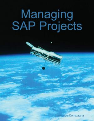 Book cover of Managing SAP Projects
