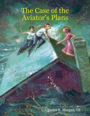 Book cover of The Case of the Aviator's Plans