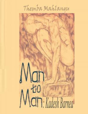 Cover of the book Man to Man: Kadesh Barnea by Kat McNulty