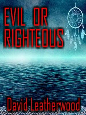 Book cover of Evil Or Righteous
