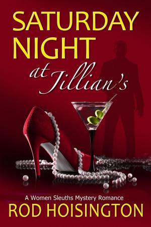 Book cover of Saturday Night at Jillian's: A Women Sleuths Mystery Romance