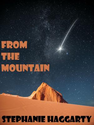 Book cover of From the Mountain