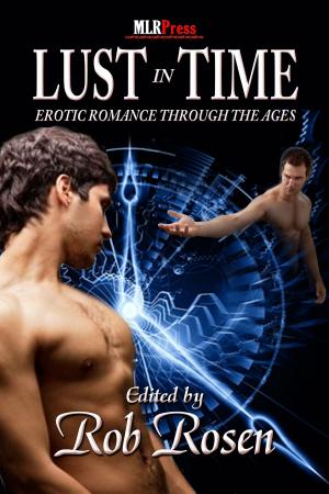 Cover of the book Lust In Time by Megan Slayer