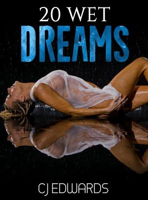 Book cover of 20 Wet Dreams