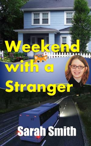 Book cover of Weekend with a Stranger