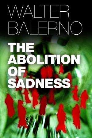 Cover of the book The Abolition Of Sadness by Nathaniel Russell
