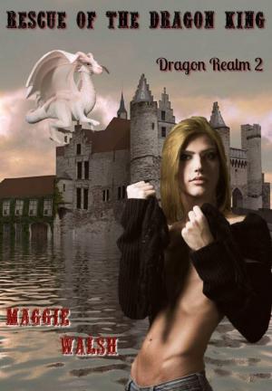 Cover of the book Rescue of the Dragon King by Gabbo de la Parra