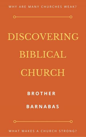 Cover of the book Discovering Biblical Church by Shane Idleman