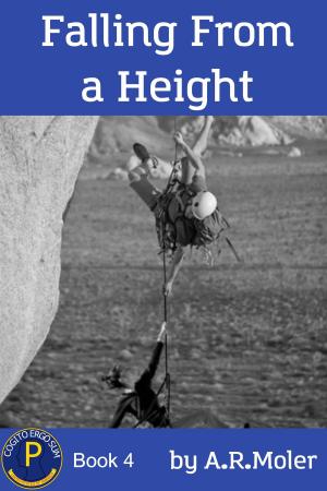 Cover of the book Falling From a Height by Harley M Cranston