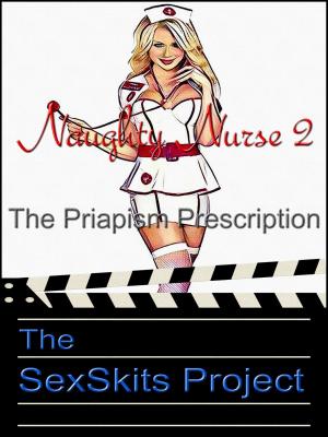 Cover of the book Naughty Nurse 2 by The SexSkits Project
