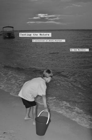 Cover of the book Testing the Waters by Victoria Escobar
