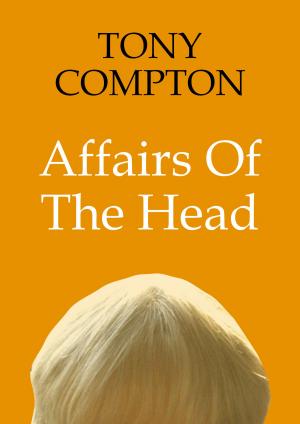 Cover of the book Affairs of the Head by C. M. Smith