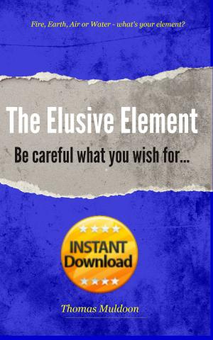Cover of the book The Elusive Element: Be Careful What You Wish for by Douglas Gabriel
