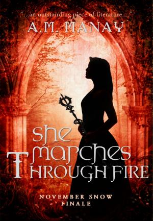 Book cover of She Marches Through Fire (November Snow Book 3)
