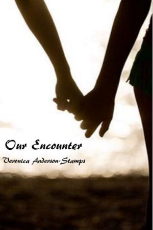 Cover of the book Our Encounter by Veronica Anderson-Stamps