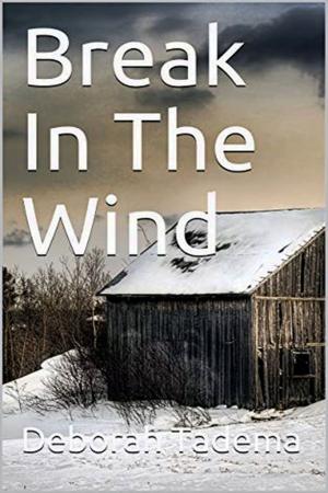 Book cover of Break In The Wind