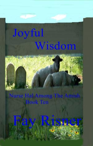 Cover of the book Joyful Wisdom by Fay Risner