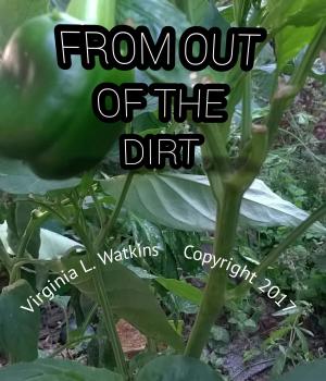 Cover of the book From Out Of The Dirt by James A. Patrick