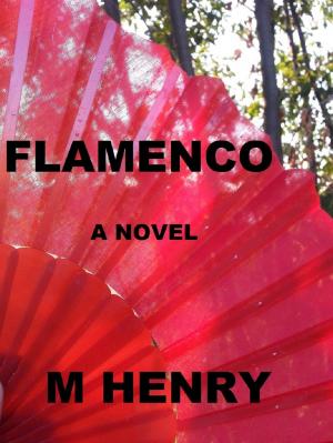Book cover of Flamenco