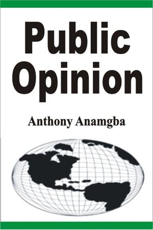Cover of the book Public Opinion by Anthony Anamgba