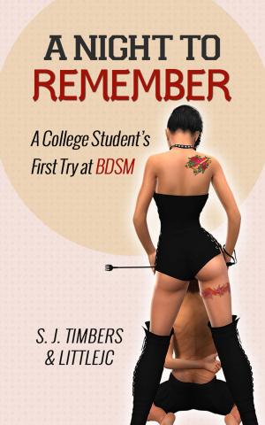 Cover of the book A Night to Remember: A College Student’s First Try at BDSM by S. J. Timbers