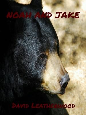 Cover of the book Noah and Jake by Steven Moore