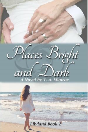 Cover of the book Places Bright and Dark by Alessandra Mazzilli