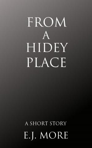 Cover of the book From a Hidey Place by Ian Terry, Mark Terry