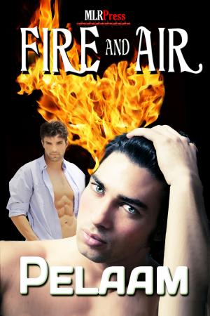 Cover of the book Fire and Air by C.J. Anthony