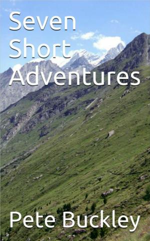 Cover of the book Seven Short Adventures by Gail Hinshaw