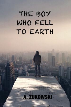 Cover of the book The Boy Who Fell to Earth by Omar Tyree, Eyone Williams, Moses Miller