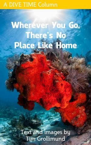 Book cover of Wherever You Go, There's No Place Like Home