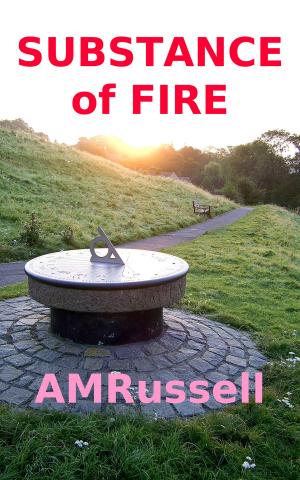 Book cover of Substance of Fire
