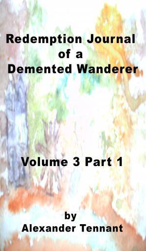 Cover of Book 3 Journal of a Demented Wanderer Redemption