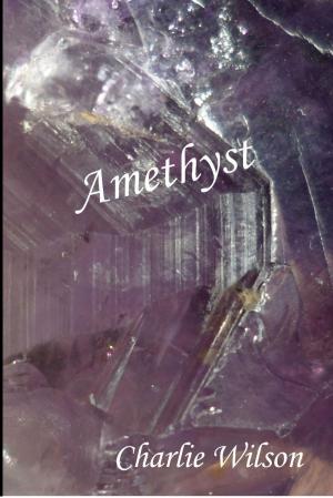 Book cover of Amethyst