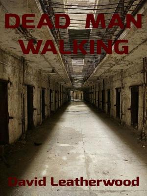 Book cover of Dead Man Walking