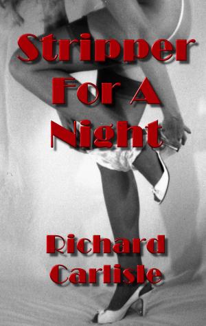 Cover of the book Stripper For A Night by Richard Carlisle