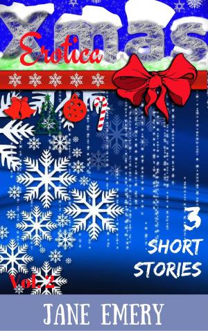 bigCover of the book Xmas Erotica, Vol. Two: 3 Short Stories by 