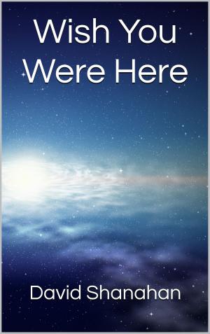 Cover of the book Wish You Were Here by Kimberly Bernardo