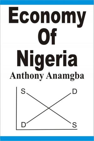 Cover of the book Economy of Nigeria by Sabine Meyer, Donald Trump