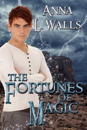Cover of the book The Fortunes of Magic by Richard Shury