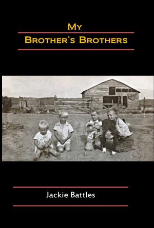 Cover of the book My Brother's Brother by Kris Knorr, B.K.  Froman