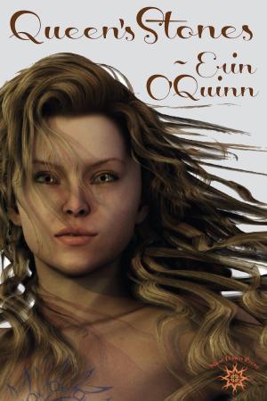 Cover of the book Queen's Stones by Chris Craig