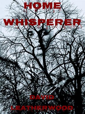 Book cover of Home Whisperer